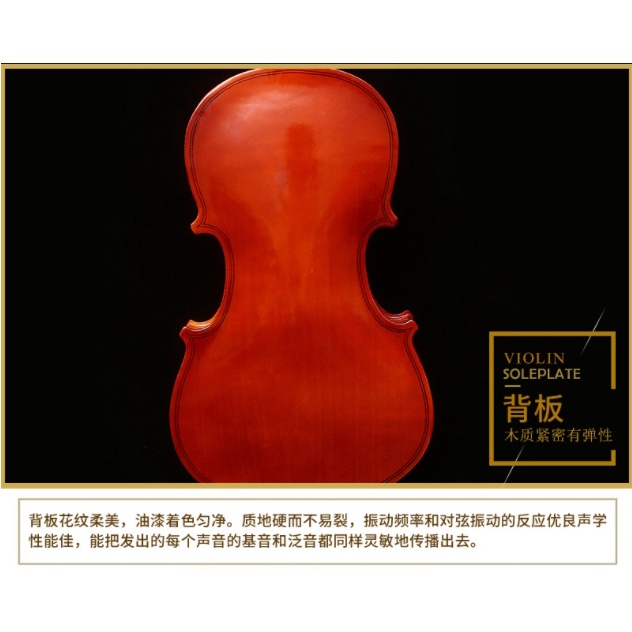 F2C ไวโอลินไม้ ขนาด4/4 พร้อมกระเป๋าอุปกรณ์ เหมาะสำหรับระดับเริ่มต้น - รูปที่ 2