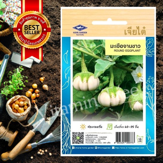 เมล็ดพันธุ์ มะเขือจานขาว EGGPLANT SEED เจียไต๋