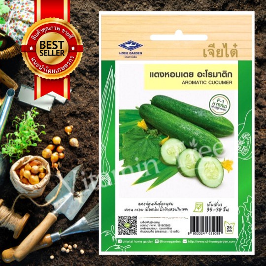 เมล็ดพันธุ์ แตง หอมเตย อะโรมาติก CUCUMBER SEED เจียไต๋