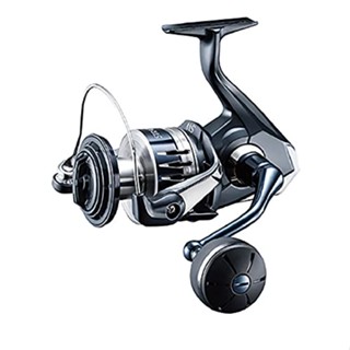 【Direct from Japan】 SHIMANO Spinning Reel 20 Stradic SW 8000PG Grey