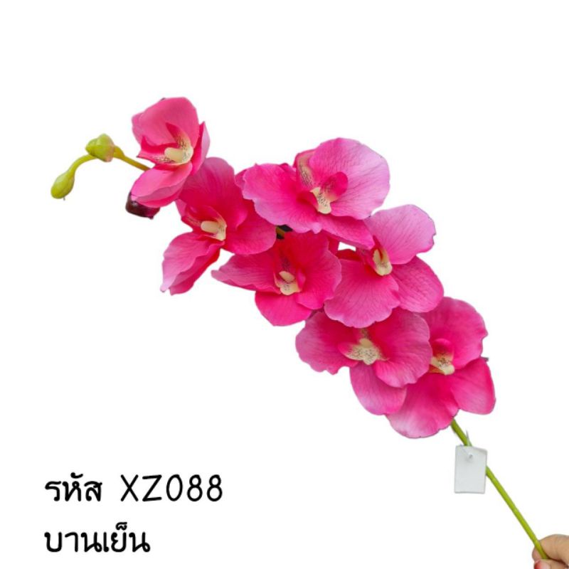 ฟาแลนด์ผ้า กล้วยไม้ปลอม พร้อมส่งจากไทย