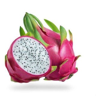 10 เมล็ด เมล็ดแก้วมังกร (Pitaya) Dragon fruit พันธุ์ไต้หวัน ของแท้ 100% อัตรางอก 70-80% มีคู่มือปลูก ปลูกในกระถางได้