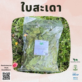 ใบสะเดา ใบสะเดาอบแห้ง ขนาด 500กรัม ผักพื้นบ้าน พร้อมส่ง หวานเป็นลมขมเป็นยา ทักแชมสอบถามได้ค่ะ