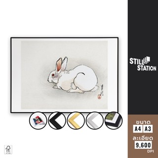 โปสเตอร์แต่งห้อง Rabbit Art ภาพวาดสวยๆสำหรับติดผนัง