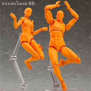 figma ศิลปะบนร่างกาย หุ่นของเล่น ข้อต่อหุ่นญี่ปุ่น เคลื่อนย้ายได้ ผู้ใหญ่ ภาพวาด กล้ามเนื้อ shf เครื่องประดับ