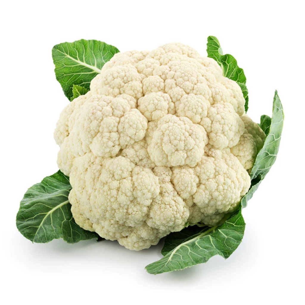 อินทรีย์็ด ใหม่็ด กะหล่ำได้ 300 ใหม่็ด ใหม่กะหล่ำได้ Cauliflower seed ใหม่ใหม่ ใหม่็ดใหม่ กะหล่ำดอ ไ