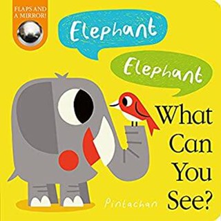 NEW! หนังสืออังกฤษ Elephant! Elephant! What Can You See? (What Can You See?) (Board Book) [Hardcover]