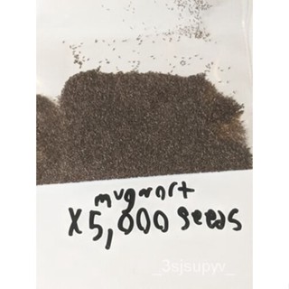  Vulgaris000 ,สดArtemisiaX5 Mugwort gardeningAKAเมล็ด ที่ตกลงมา  BJXU