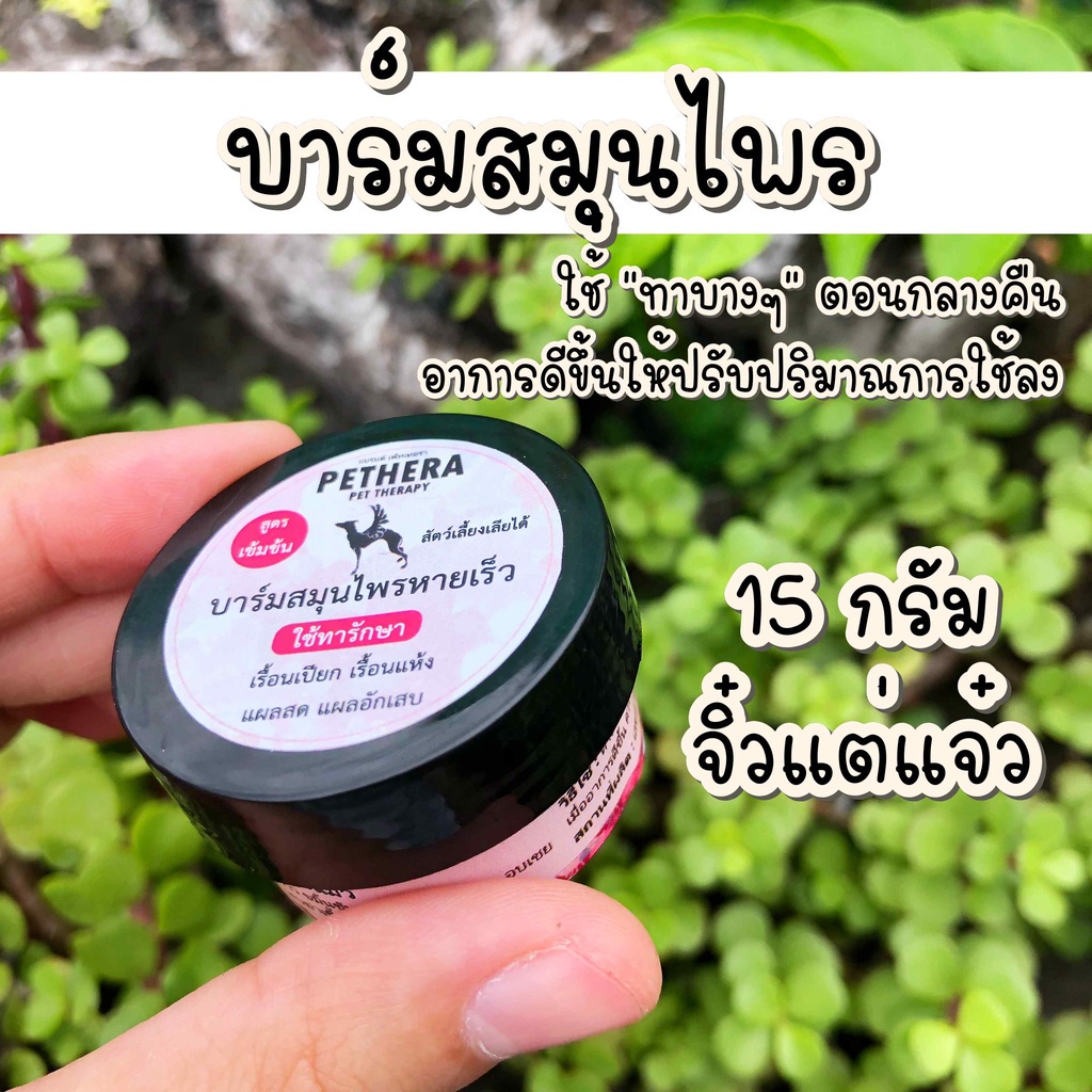 บาล์มดูแลผิว 15 กรัม ดูแลผิวหนังสัตว์เลี้ยง สุนัข แมว ชูก้าไรเดอร์ เม่นแคระ
