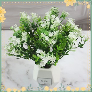 ✿ดอกยิปโซประดิษฐ์ พลาสติก สําหรับตกแต่งบ้าน 1 ชิ้น
