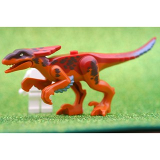 LEGO Dinosaur Pyroraptor ANIMAL - LEGO® Authentic เลโก้แท้