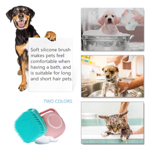 รูปภาพ 6