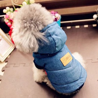 Schnauzer เสื้อผ้าสัตว์เลี้ยง สุนัขพุดเดิ้ล ขนาดเล็ก สองขา แฟชั่นฤดูใบไม้ร่วง ฤดูหนาว สําหรับสุนัข