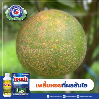 แอคเม่ 1 ลิตร โพรฟีโนฟอส ป้องกันกำจัดหนอน แมลงปีกแข็ง เพลี้ยไฟ เพลี้ยไก่แจ้ ไรแดง