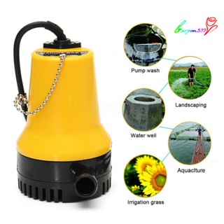 【AG】DC 12/24V Mini Submersible Water Pump Clean Pool Irrigation Bilge Tool