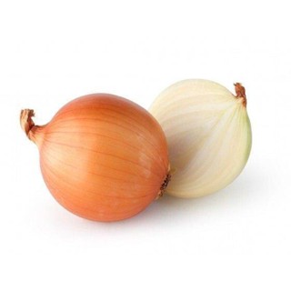 100 เมล็ด เมล็ดหอมหัวใหญ่ สายพันธุ์ หอมใหญ่ Polana ของแท้ 100% อัตรางอก 70-80% Onion seeds มีคู่มือปลูก