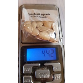 เมล็ด Winter Pumpkin Seeds ข้าวโพด