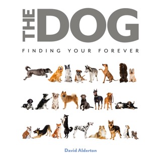 NEW! หนังสืออังกฤษ The Dog : Finding Your Forever [Hardcover]