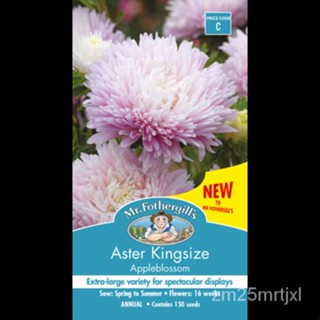 เมล็ด Mr Fothergill &amp; #039; S Aster Kingsize Appleblossom 150เมล็ดไปรษณีย์ฟรี ต้นอ่อน