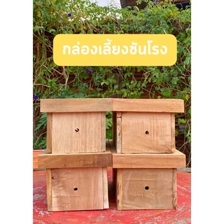 กล่องเลี้ยงชันโรง กล่องผึ้งชันโรง ชันโรง ผึ้งจิ๋ว #ชันโรง #ผึ้งชันโรง #กล่องผึ้งชันโรง #ผึ้งจิ๋ว