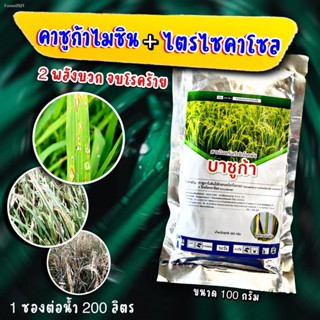 พร้อมสต็อก บาซูก้า 100 กรัม 💥 โรคใบไหม้ในนาข้าว คาซูก้าไมซิน + ไตรไซคลาโซล #ใบติด#เน่ายุบ โรคพืช โรคแคตตัส ใบไหม้ ใบจุด