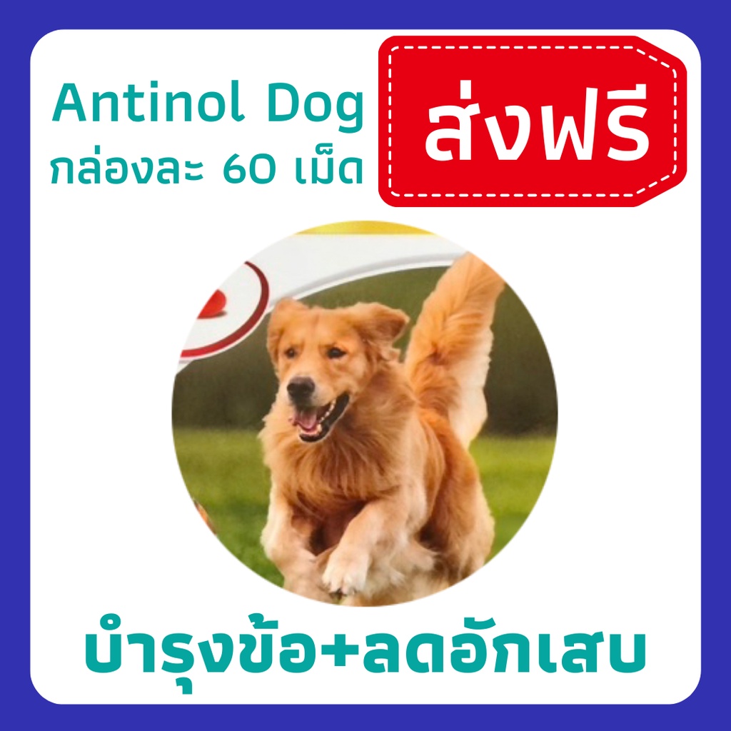Antinol dog อาหารเสริมบำรุงข้อสำหรับสุนัข
