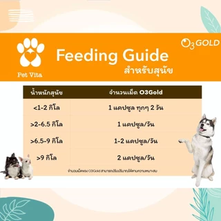 O3gold น้ำมันปลาเกรด Premium อาหารเสริมสัตว์เลี้ยง อาหารเสริมสุนัข อาหารเสริมแมว บำรุงขนสุนัข บำรุงขนแมว