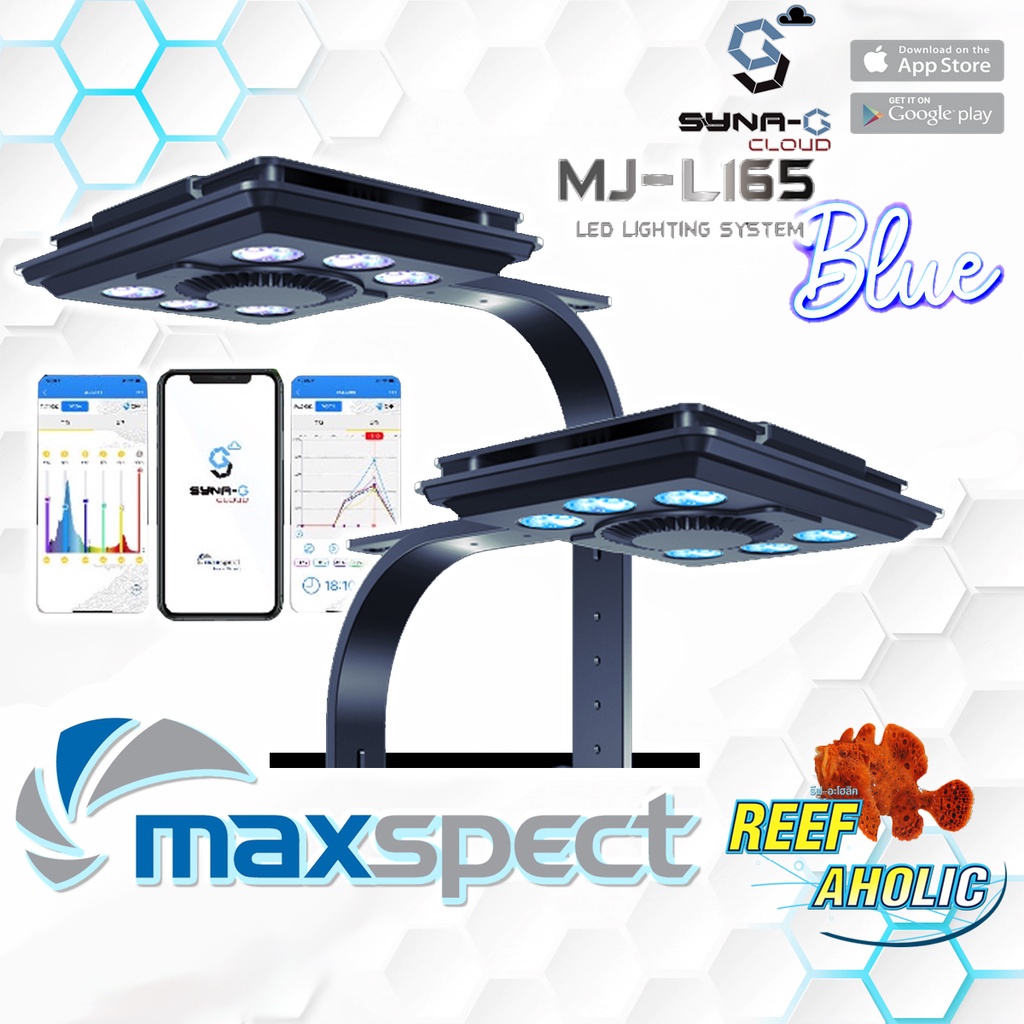 Reef-Aholic Maxspect LED MJ-L165 BLUE ฟังชั่นตอบสนองครบครัน Wifi สามารถคุมไฟได้จากทุกแห่งหน ใช้ทน ปะ