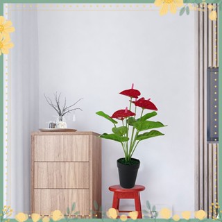 ✿ดอกหน้าวัวปลอม พลาสติก เหมือนจริง 7 ใบ 1 ชิ้น 5 ดอก สําหรับตกแต่ง