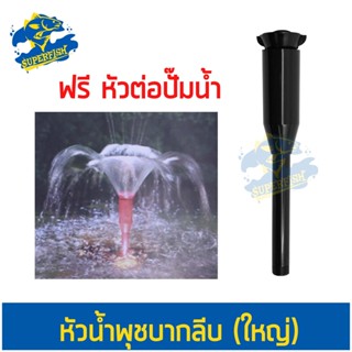 หัวน้ำพุ SB ชบากลีบใหญ่ Fountain Head