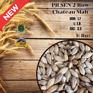 Pilsen 2 Row Malt (Castle Malting) 1 lbs