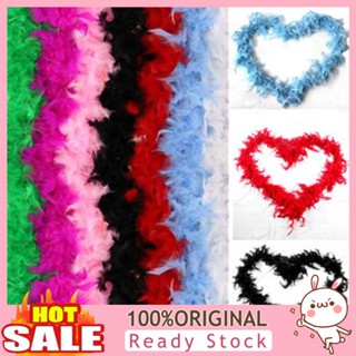 [B_398] 2M Feather Boa Strip Craft Costume Hen Night Dressup Wedding Fancy Party