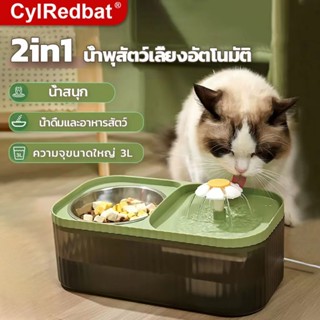 CylRedbat 2in1น้ําพุแมว น้ำพุสัตว์เลี้ยงอัตโนมัติ3L ถังให้น้ำสัตว์เลี้ยง ที่ให้น้ำแมว เงียบ ที่ให้อาหาร สเตนเลส เครื่องกรองน้ำสัตว์เลี้ยง