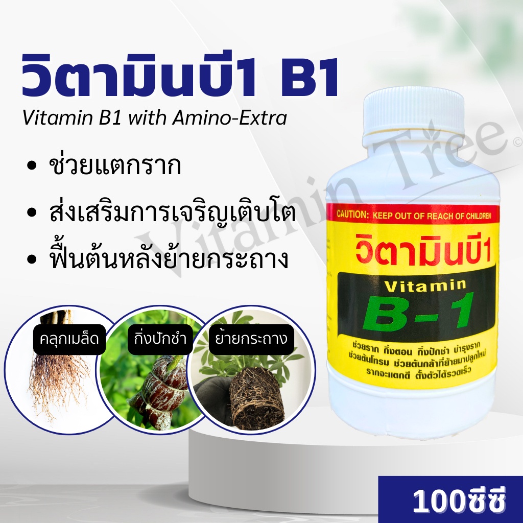 น้ำยาเร่งราก B1 ขนาด100 มม. สำหรับตอนกิ่ง ปักชำ แช่เมล็ด ลดอาการเครียด ฟื้นตัวเร็ว รากแตกแขนงดี