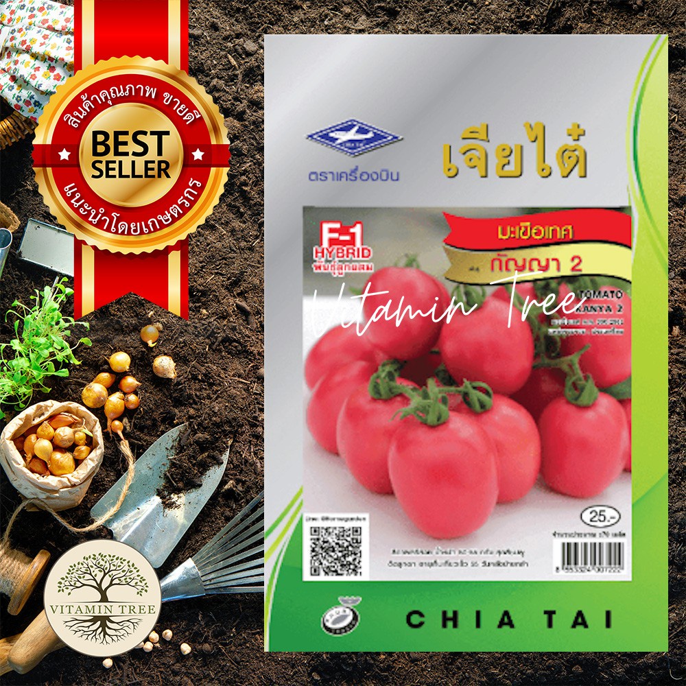 เมล็ดพันธุ์ มะเขือเทศ กัญญา2 170เมล็ด
