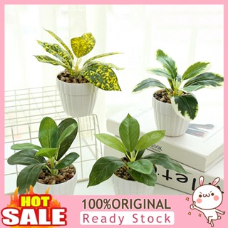 [B_398] Artificial Pot Fade-less Verdant Vivid No Wither Imitation Plant Wedding Decoration