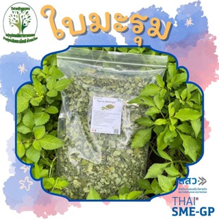 ใบมะรุม (Moringa) อบแห้ง ขนาด 50/100 กรัม บำรุงร่างกาย นอนหลับง่าย ผักสมุนไพรอบแห้ง ใช้เป็นชาหรือประกอบอาหาร