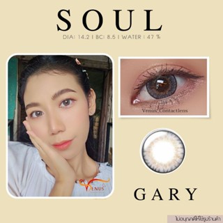 คอนแทคเลนส์  SOUL Gary ✨ ยี่ห้อ GAEZZ ; Color Gary ( ค่าสายตา 50 - 700 )