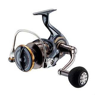 【Direct from Japan】 DAIWA Spinning Reel 22CALDIA SW 8000-P