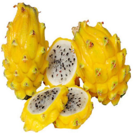 เมล็ด ใหม่็ด ใหม่เหลืองโคลัมเบีย  DRAGON FRUIT มะระแก้วมังกร  มะระแก้วมังกร เนื้อขาว เปลือกสีเหลือง 