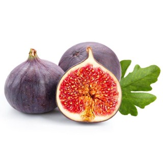 อินทรีย์็ด ใหม่็ด Figs ง่ายมะเดื่อฝรั่ง ใหม่ Black Jack (แบล๊กแจ๊ก) อร่อย หวาน หอมมากๆ ง่ายสมบูรณ์มาก รากแน่นๆ จ