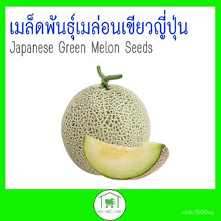 อินทรีย์็ด ใหม่็ด ใหม่ใหม่่อนเขียวญี่ปุ่น Japanese Green Melon Seeds ใหม่ ง่าย