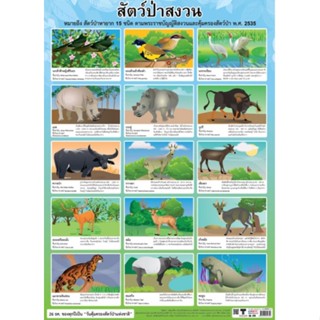 สัตว์ป่าสงวน EQ 275 โปสเตอร์สื่อการสอน หุ้มพลาสติก ขนาด 50 * 70 cm