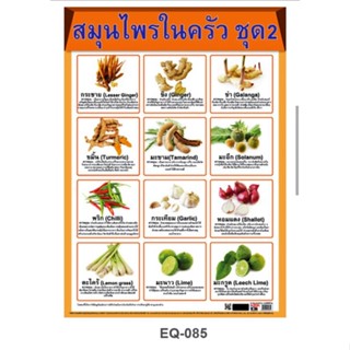 สมุนไพรในครัว 2 EQ 085 โปสเตอร์สื่อการสอน หุ้มพลาสติก ขนาด 50 * 70 cm