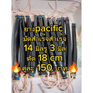 ยางแปซิฟิก ยางpacificตัด18เซนมันสำเร็จ