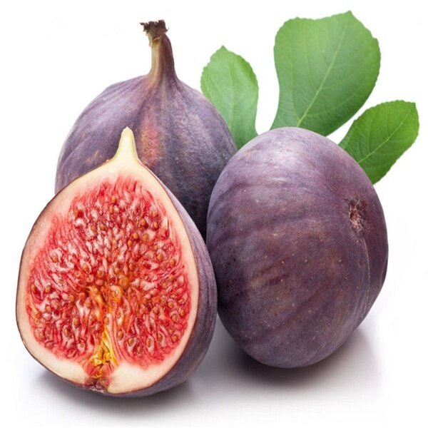 Local Ready Stock 50pcs Fig Tropical seeds Ficus carica seeds bonsai Rare Fruit SEED Home planting F