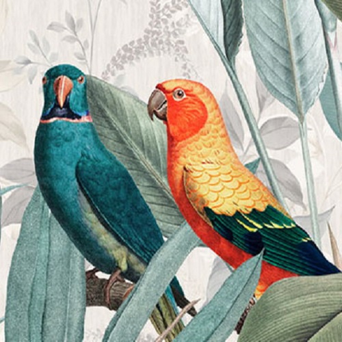 ภาพติดฝาผนัง CHIC REPUBLIC รุ่น PARROT PAIR-B/50X70 สีทอง/หลากสี_1