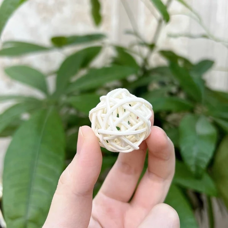 บอลนกแก้ว ของเล่นนก มีแบบหลายสี และสีต้นตำรับ 3cm 5cm thumbnail 5