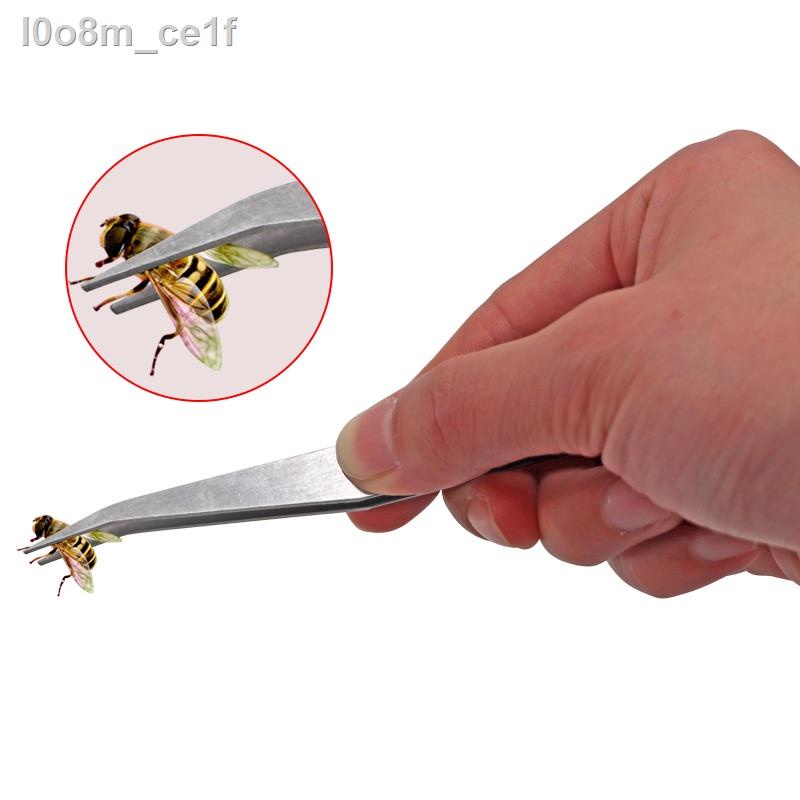 【Ready stock】Beekeeping Tweezer Bee Hive Trap Bee Forceps Bee Larvae Pupae Transfer Special Tweezers