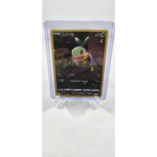 Pokemon Card "Turtwig AR GG31/GG70" ENG Crown Zenith